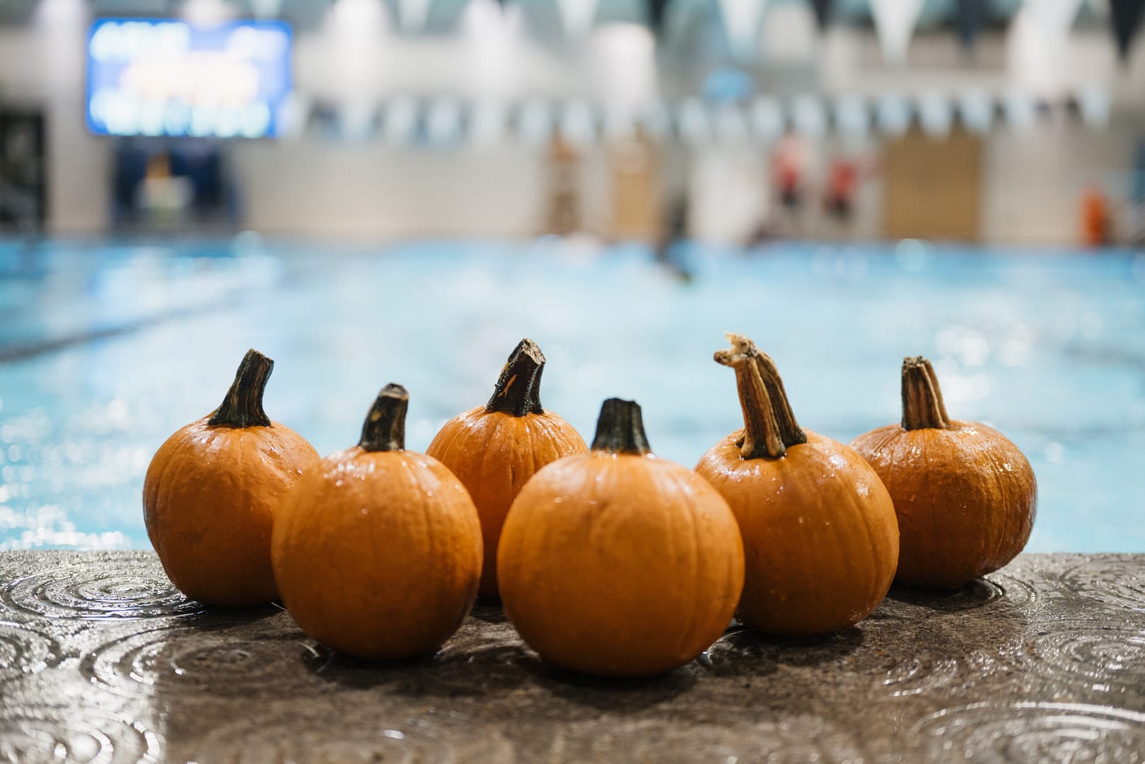 Halloween in Downtown Hillsboro
