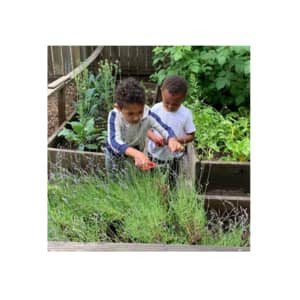 Portland Montessori Collaborative (pdxMC)