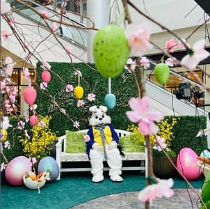 Easter Bunny Photos at Washington Square Mall