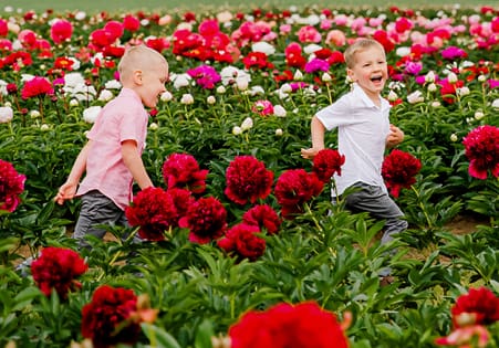 Adelman Peony Gardens