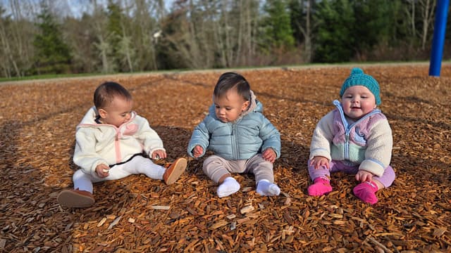 PHOTO-2026-01-12-13-21-28