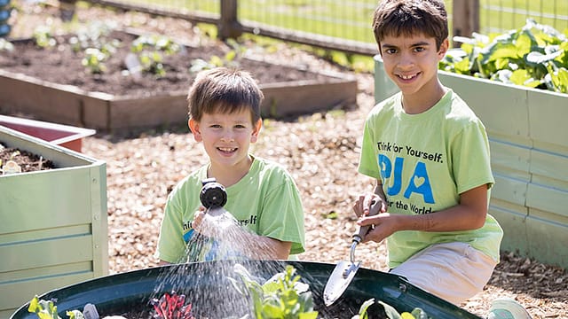 PJA-garden