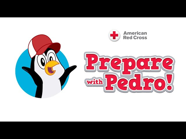 pedro