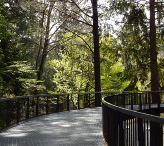 Visit Leach Botanical Garden at Leach Botanical Garden in Portland