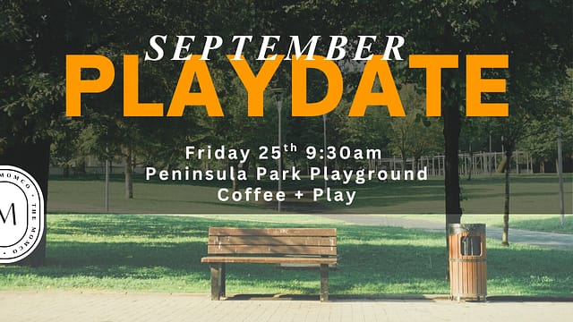 MomCo PDX- Park Playdate at 6400 N Albina Ave, Portland, OR 97217 in Portland