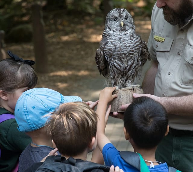 Saturday Guided Nature Hikes at Through Tryon Creek at Tryon Creek State Natural Area in Portland