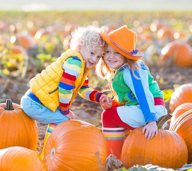 Enjoy Fall Festivities at a Local Pumpkin Patch at PDX Parent in Portland