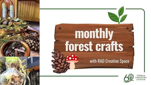Forest Crafts w/ Rad Creative Space at Discovery Museum in Portland