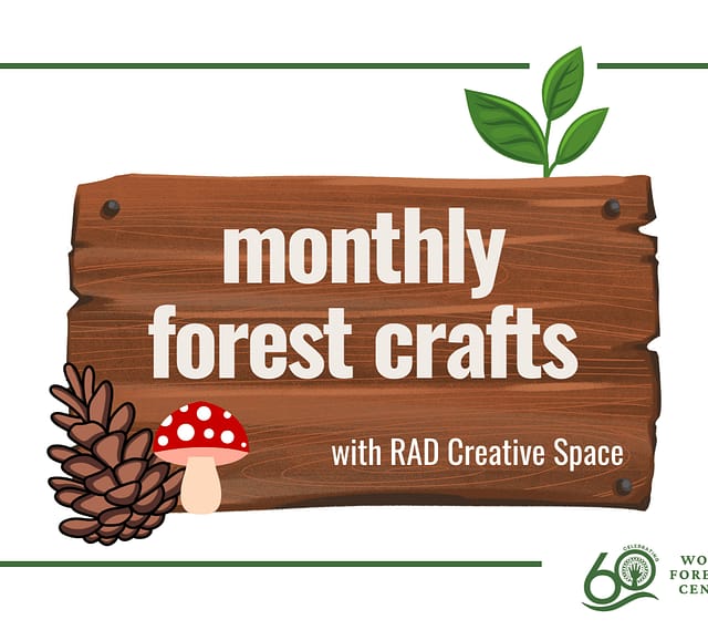 Forest Crafts at the Discovery Museum at Discovery Museum in Portland