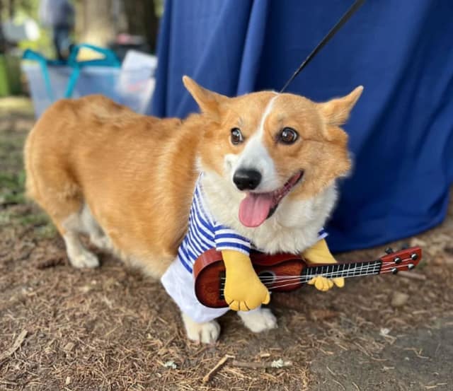 Sellwood Dog Show at The Shack at Sellwood Park in Portland