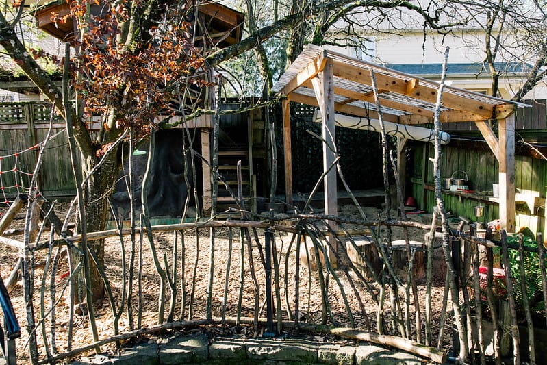 Wildflowers Preschool