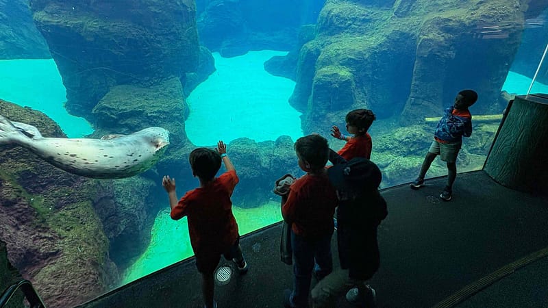 AC2026-Promo-Photo-4