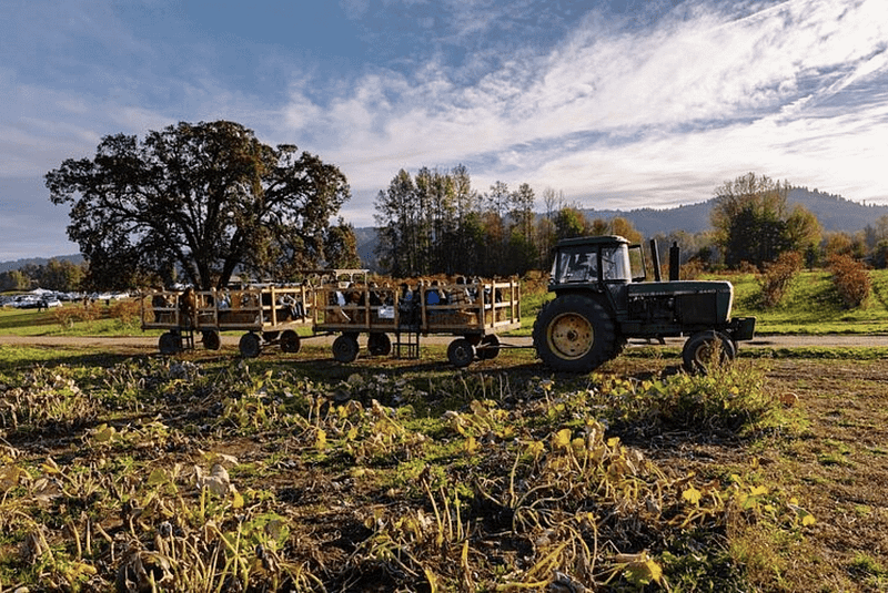 Tractor-rides-1.png