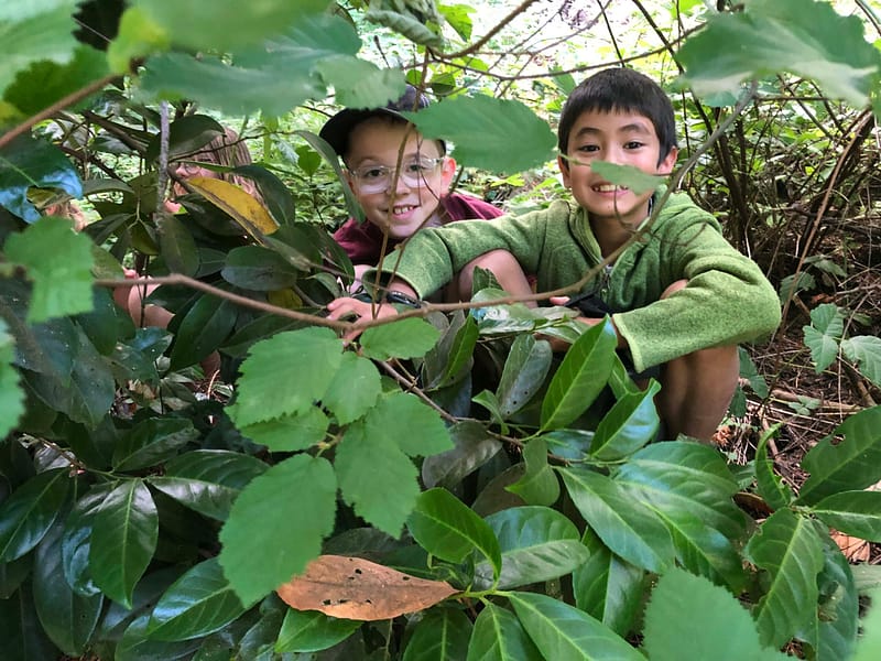 Write Now Portland- Creative Writing and Nature Play Camp