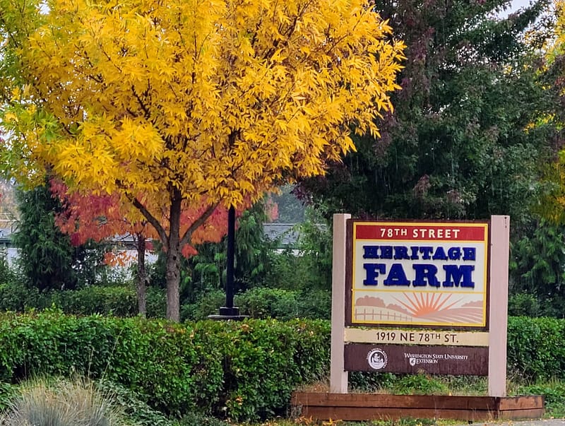 Heritage Farm on 78th sign and tree