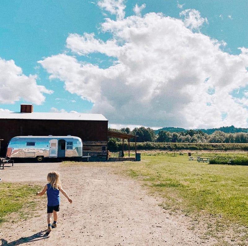 Airstream-1.jpg