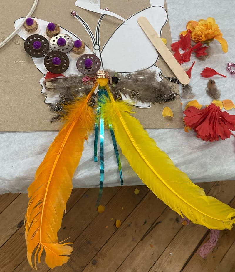 butterfly-assemblage